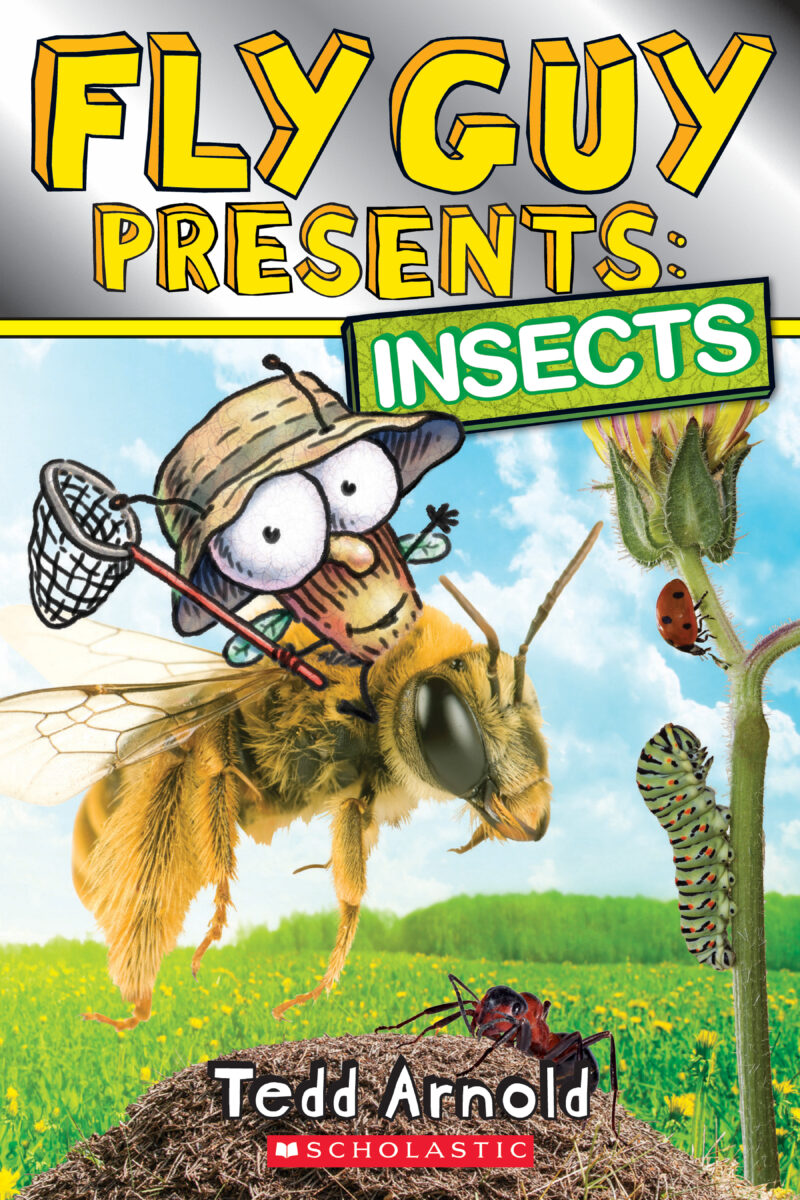 

Insects