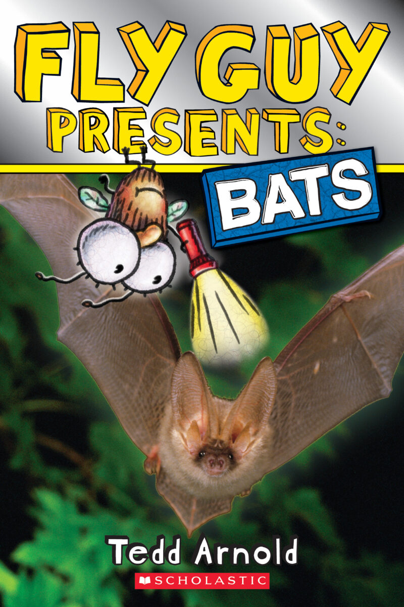 

Bats