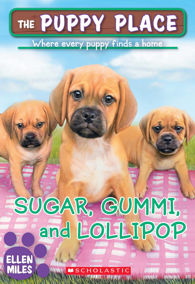 

Sugar, Gummi and Lollipop