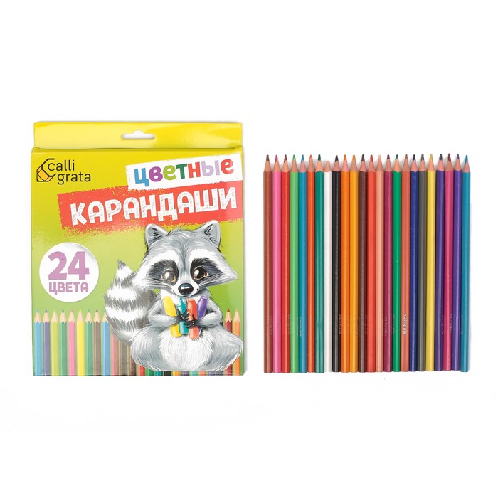 

Карандаши 24 цвета, шестигранные, в картонной коробке, Серый;коричневый;черный;красный;синий;зеленый;оранжевый;желтый;фиолетовый;розовый