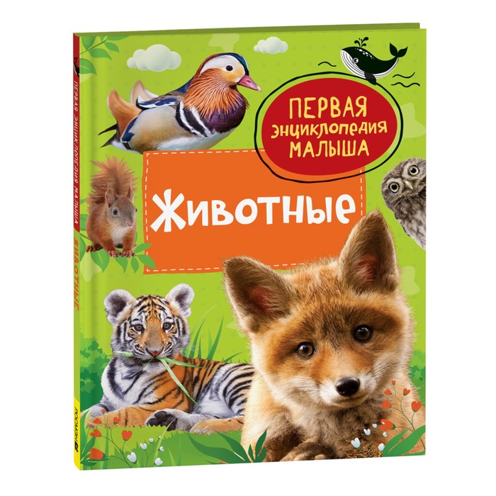 

Книга Росмэн Первая энциклопедия малыша. Животные