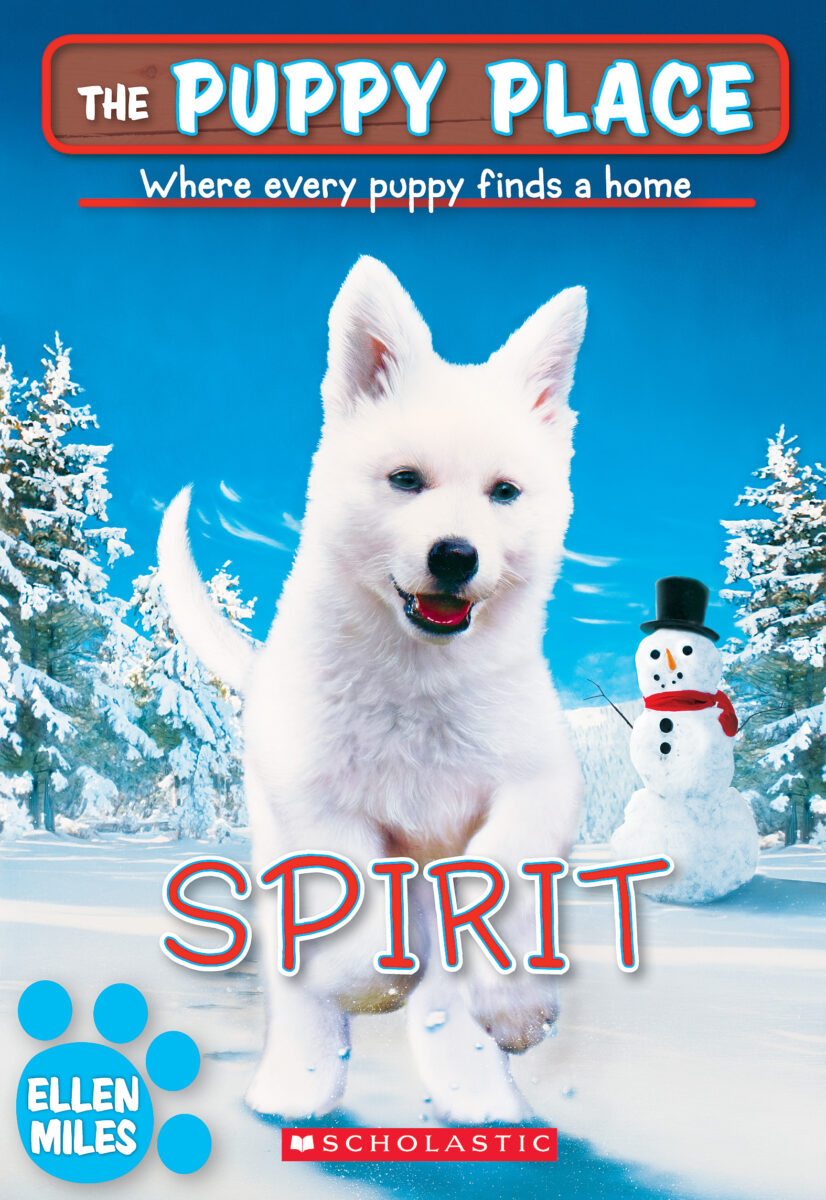 

Spirit