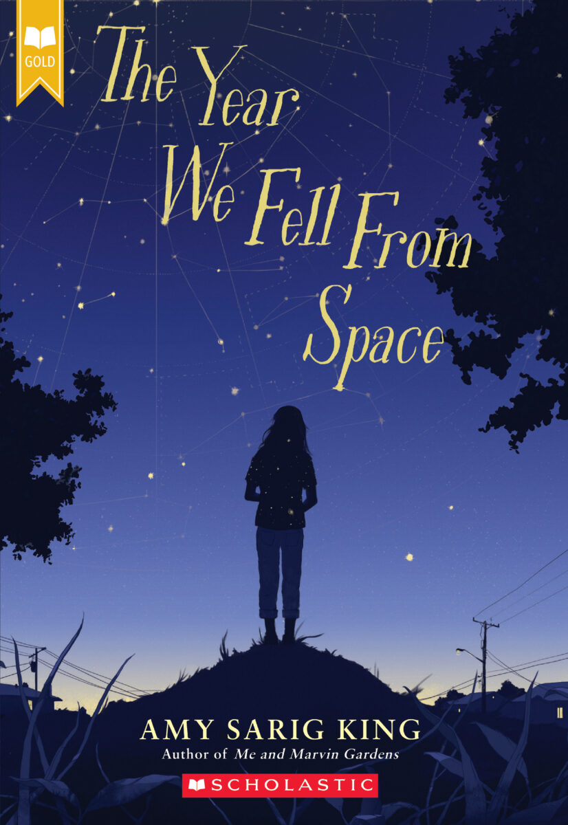 

The Year We Fell from Space