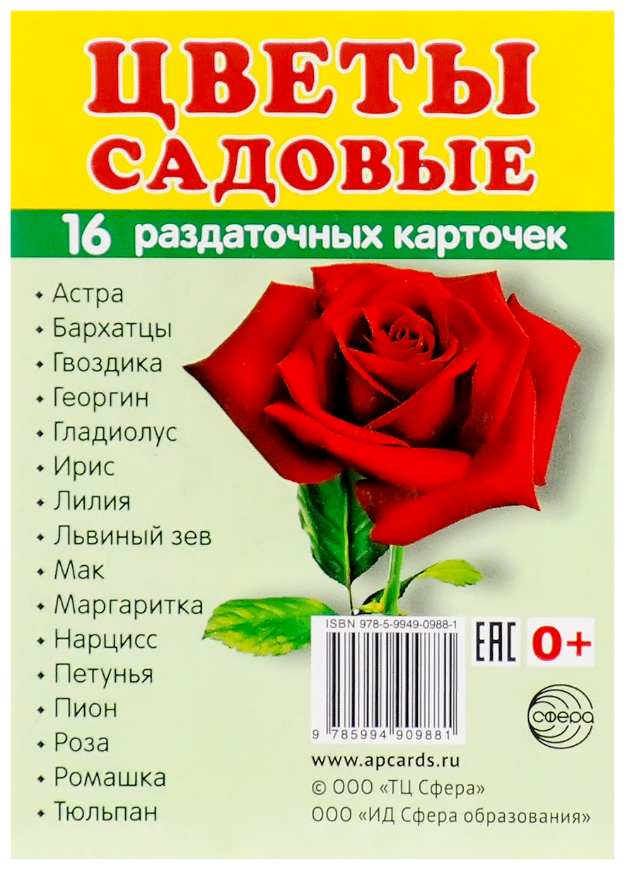 

Демонстрационные картинки Цветкова т.В. Супер. Цветы Садовые 00-00003604