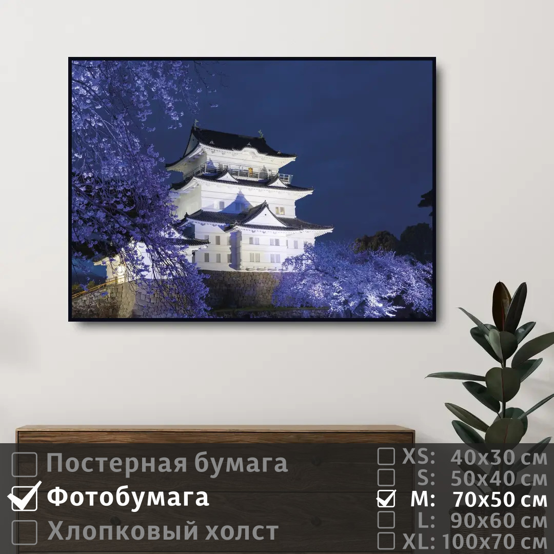 

Постер на фотобумаге ПолиЦентр Замок и сакура в японии 70х50 см, ЗамокИСакураВЯпонии