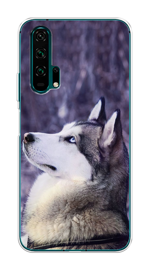 

Чехол на Honor 20 Pro "Хаски 1", Фиолетовый;белый, 69350-1