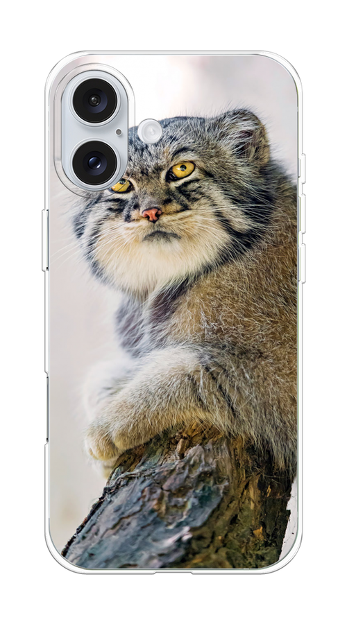 

Чехол на Apple iPhone 16 Plus "Кот манул 1", Серый;белый;желтый, 16150-1