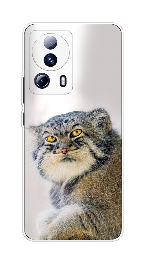 

Чехол на Xiaomi 13 Lite "Кот манул 1", Серый;белый;желтый, 318150-1