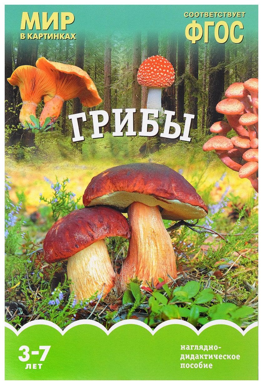 

Фгос Мир В картинках, Грибы