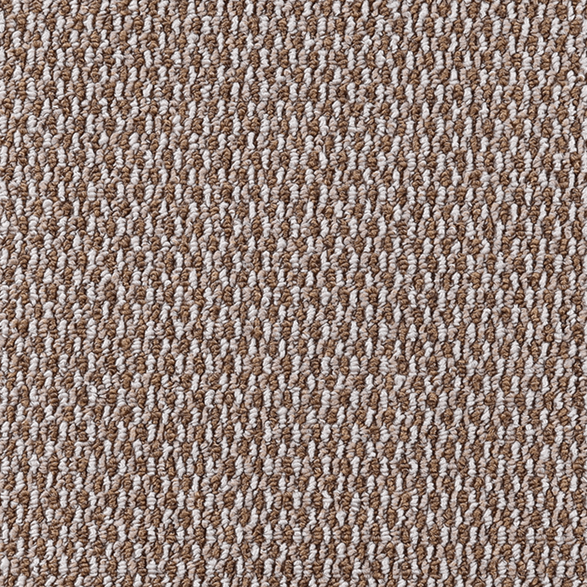 

Ковер SCROLL (01_015_14270500) 200 x 200 Квадратный, Scroll