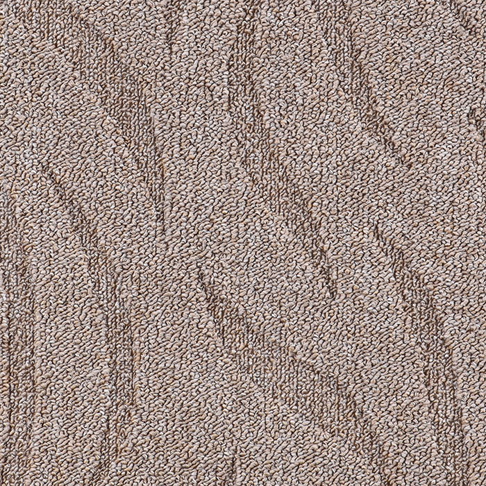 

Ковер SCROLL (01_010_5000000) 200 x 400 Прямоугольный, Scroll