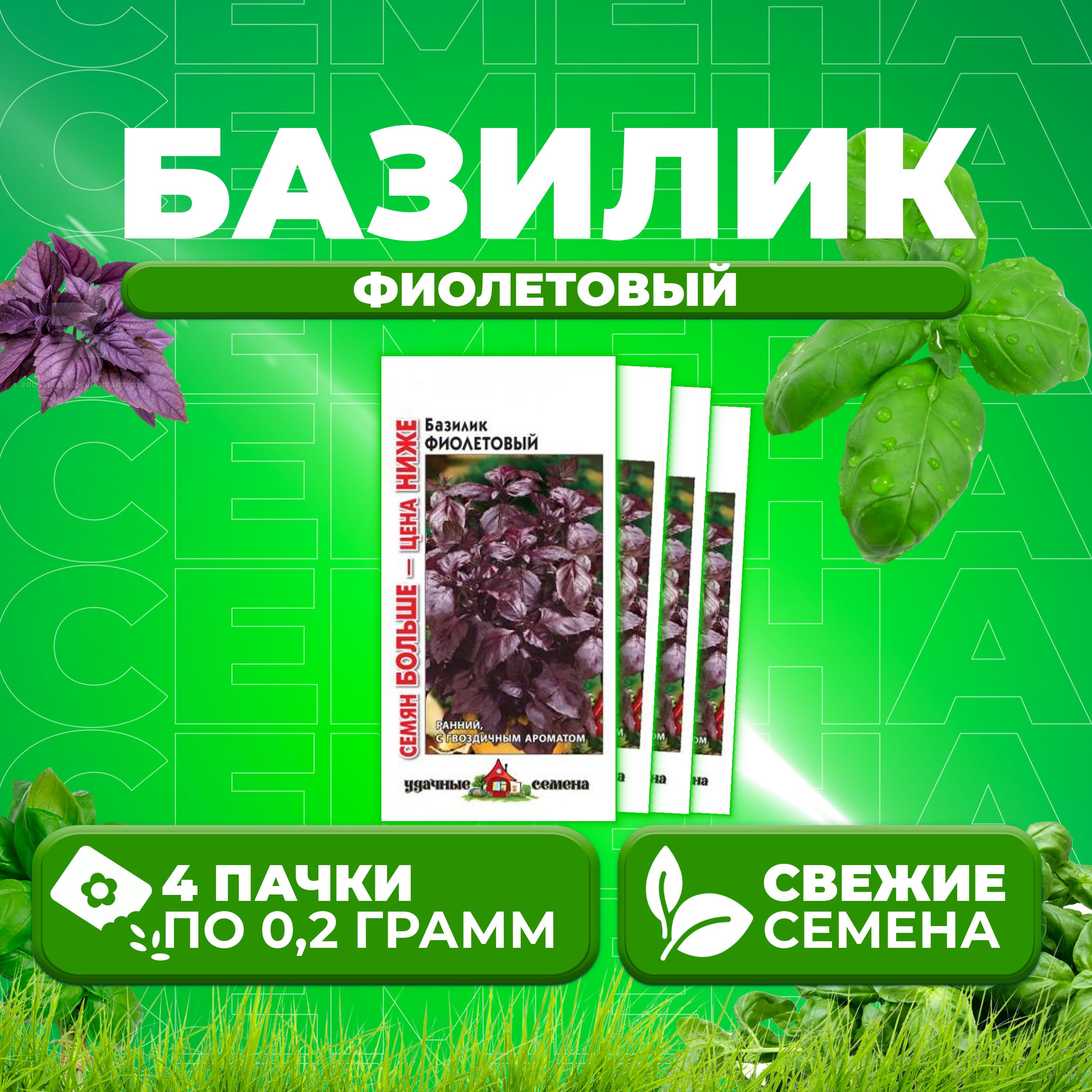 

Семена Базилик Фиолетовый, 0,2г, Удачные семена, Семян больше (4 уп)