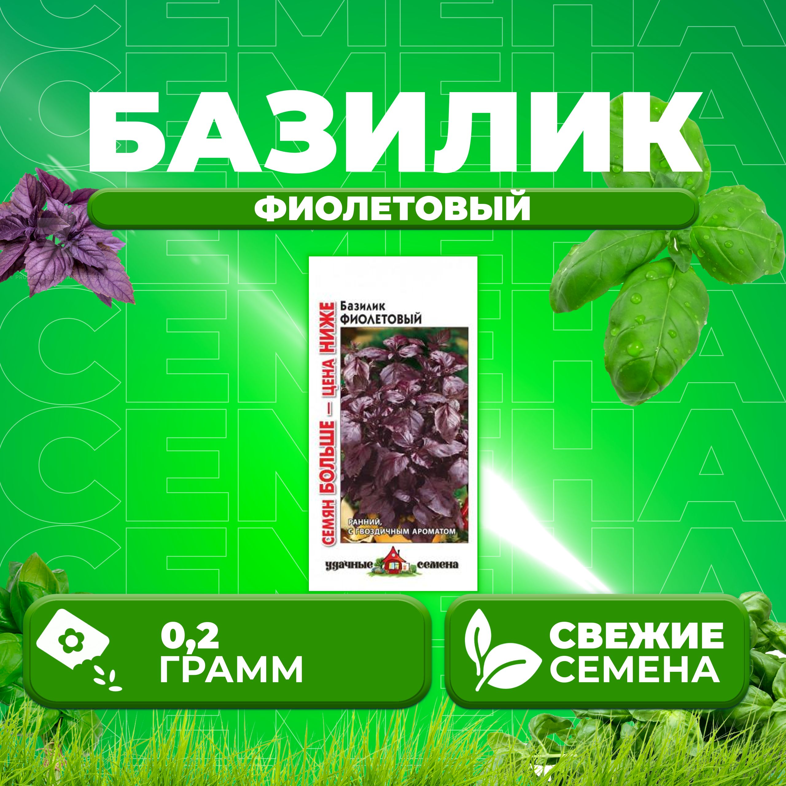 

Семена Базилик Фиолетовый, 0,2г, Удачные семена, Семян больше (1 уп)