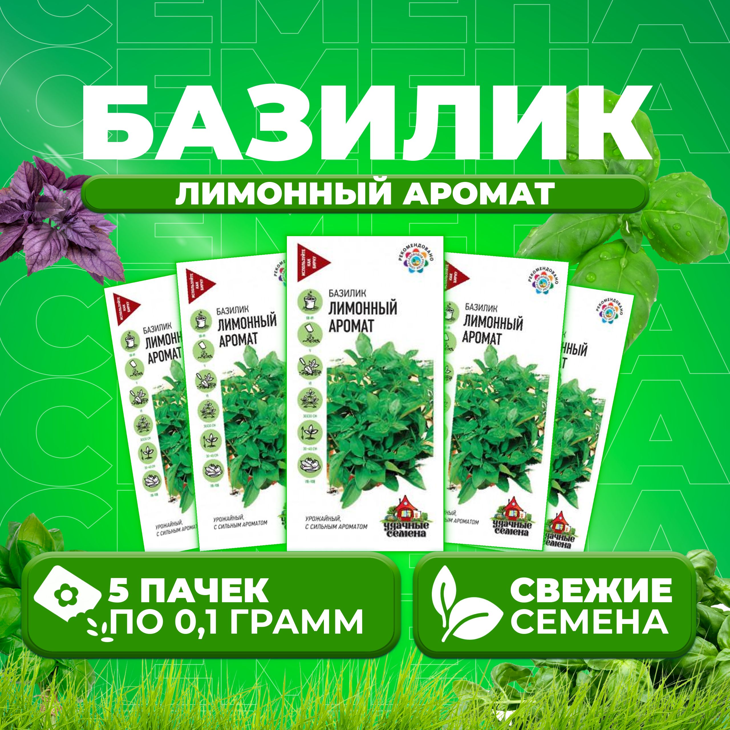 

Семена Базилик Лимонный аромат, 0,1г, Удачные семена (5 уп)