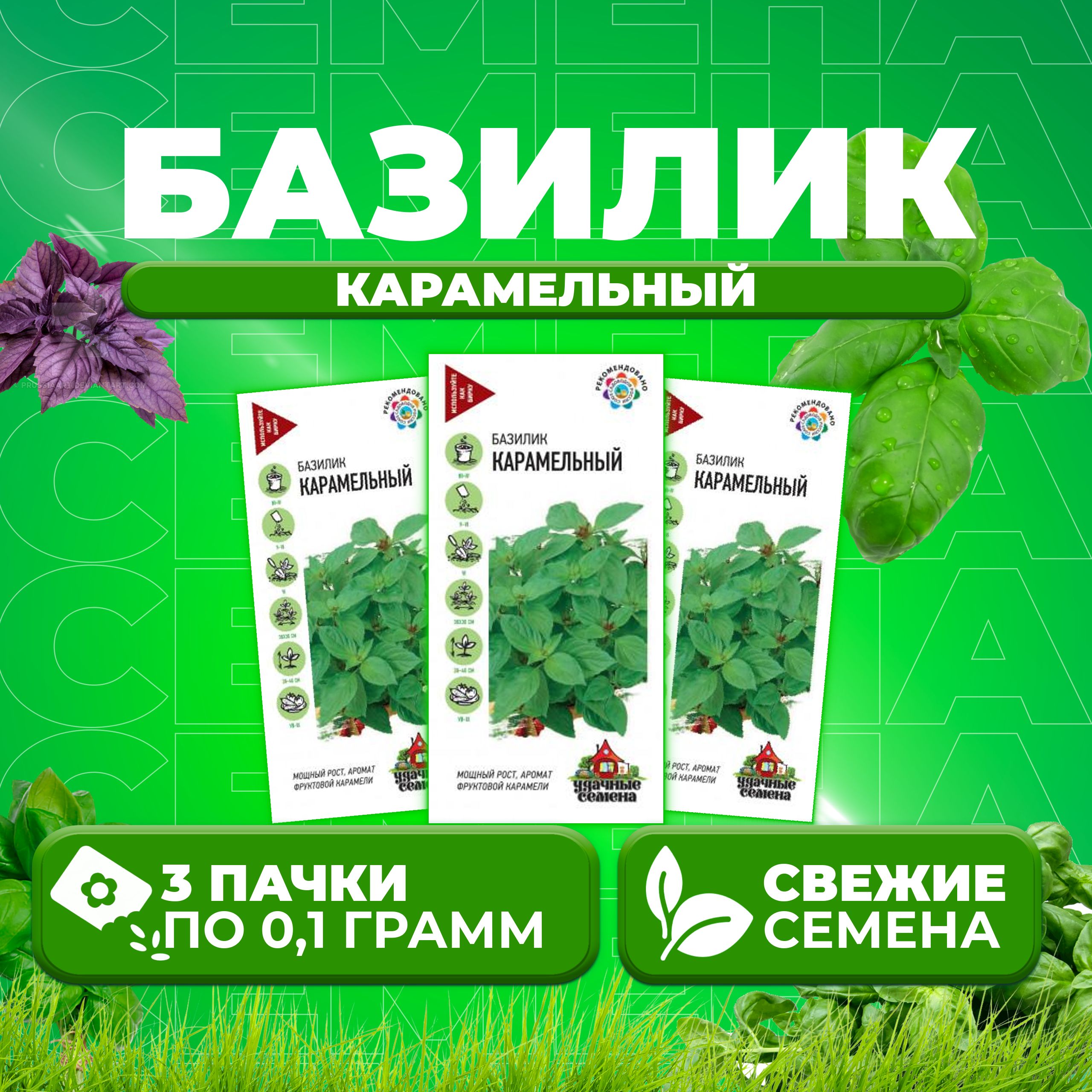 

Семена Базилик Карамельный, 0,1г, Удачные семена (3 уп)