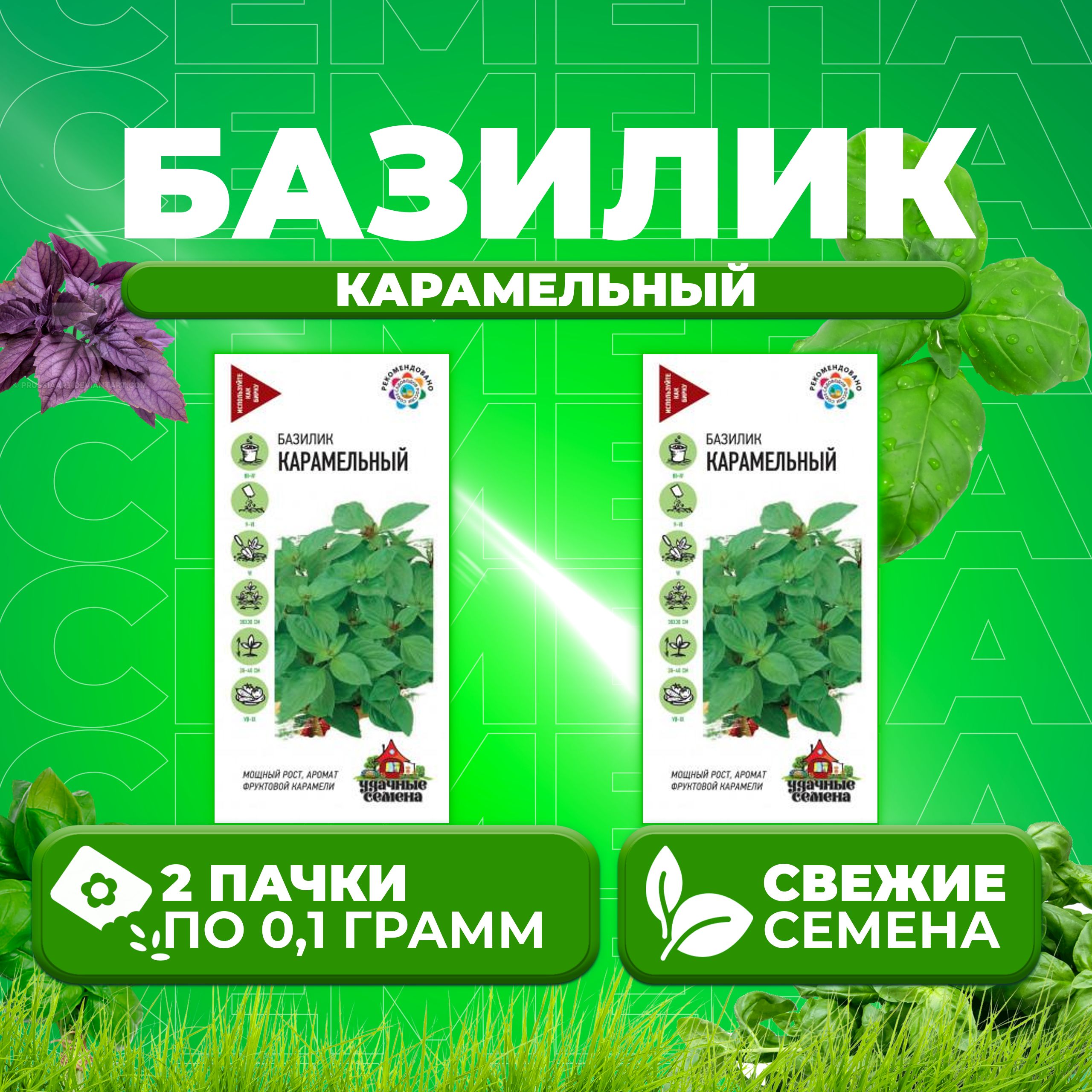 

Семена Базилик Карамельный, 0,1г, Удачные семена (2 уп)