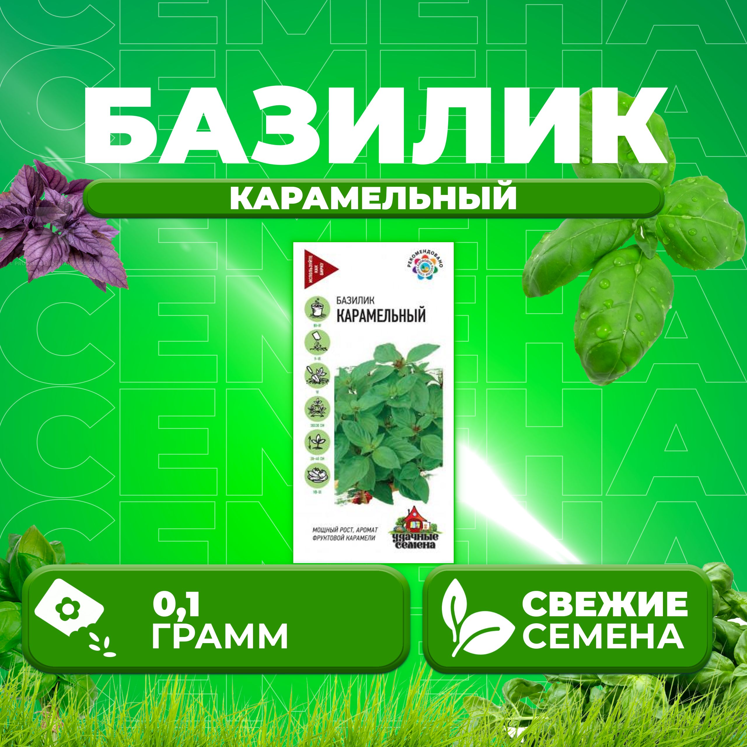 

Семена Базилик Карамельный, 0,1г, Удачные семена (1 уп)