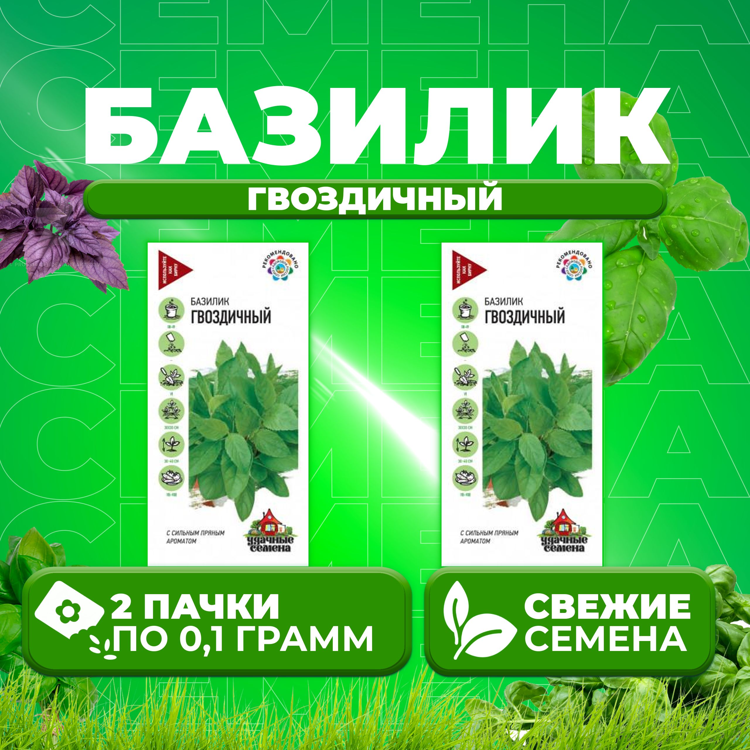 

Семена Базилик Гвоздичный, 0,1г, Удачные семена (2 уп)