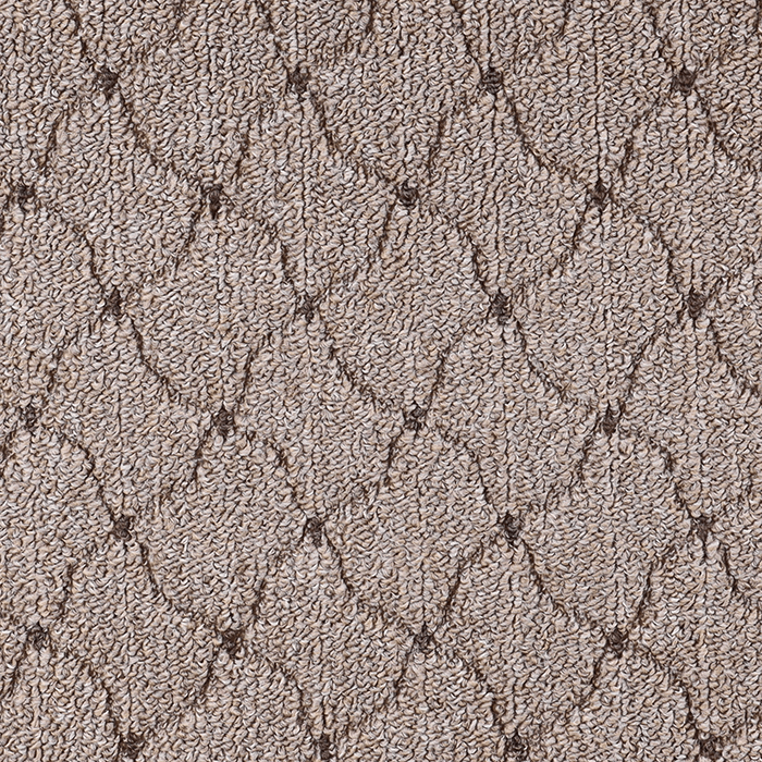 

Ковер SCROLL (01_009_5150000) 100 x 350 Прямоугольный, Scroll