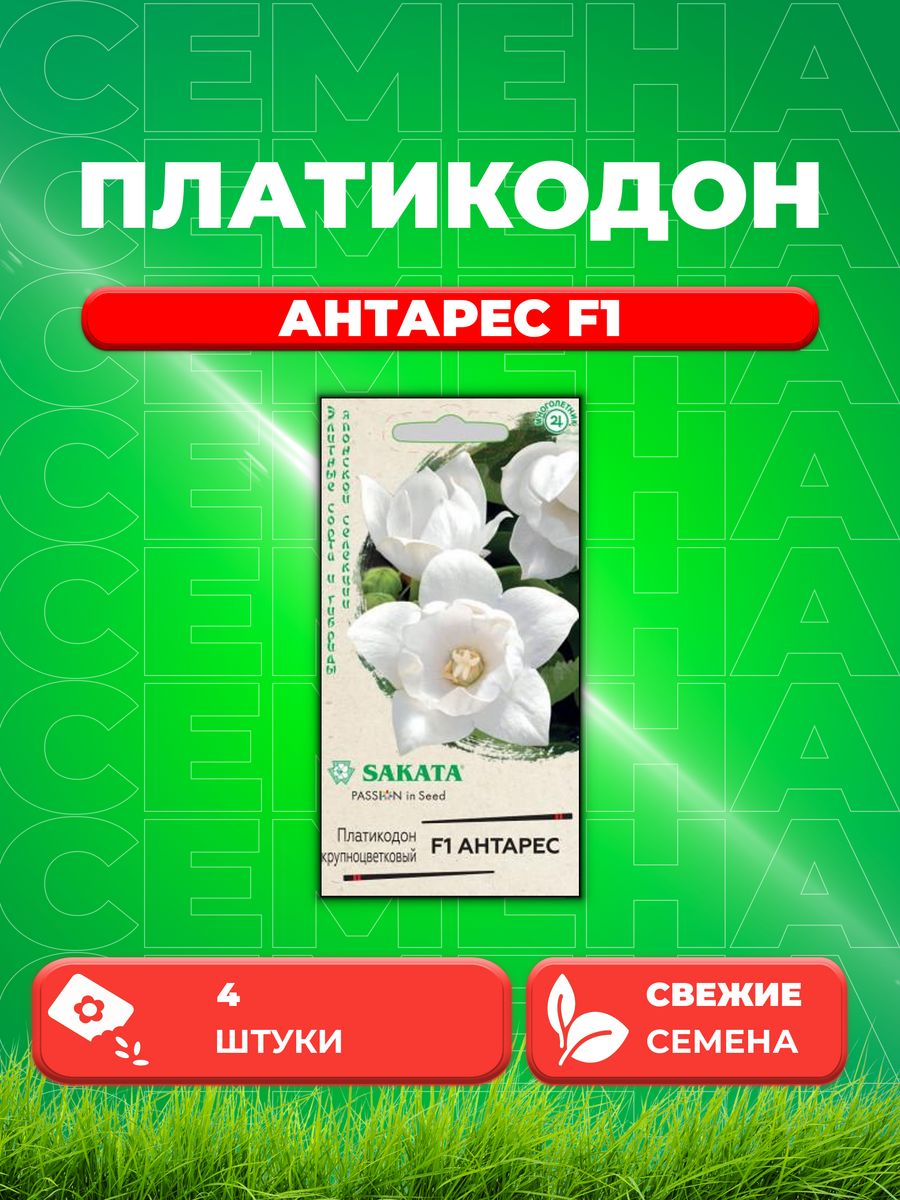 

Семена Платикодон крупноцветковый Антарес F1, 4шт, Sakata