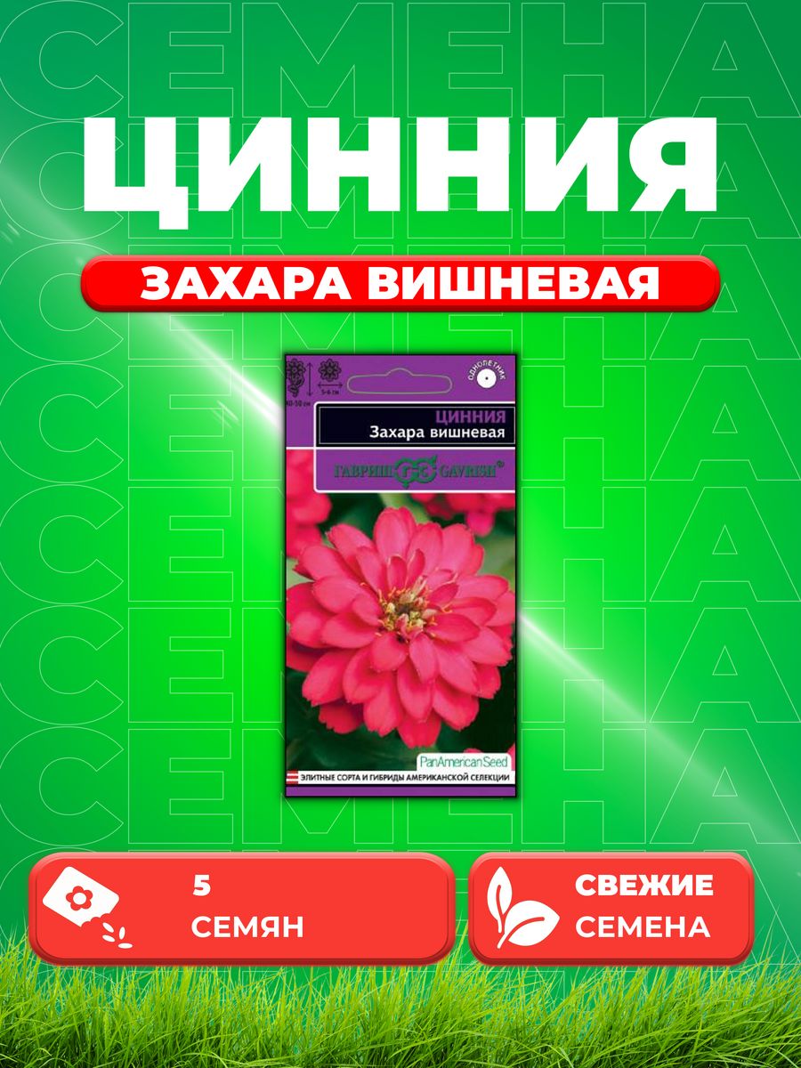 

Семена Цинния Захара вишневая, 5шт, Гавриш, PanAmericanSeed