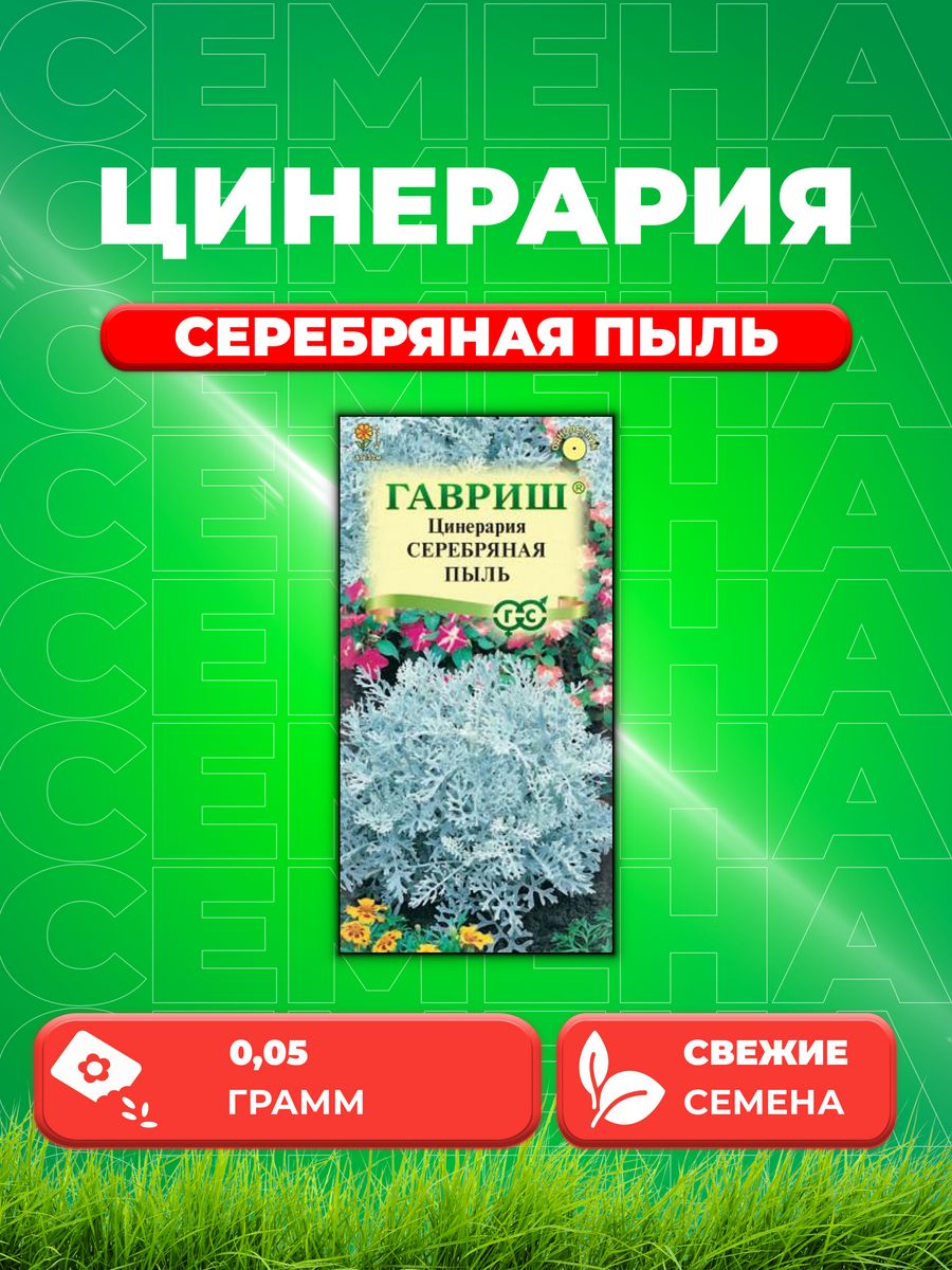 Семена Цинерария приморская Серебряная пыль, 0,05г, Гавриш