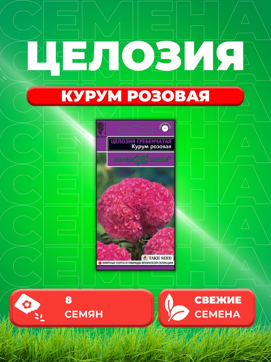 

Семена Целозия гребенчатая Курум розовая, 8шт, Takii Seed