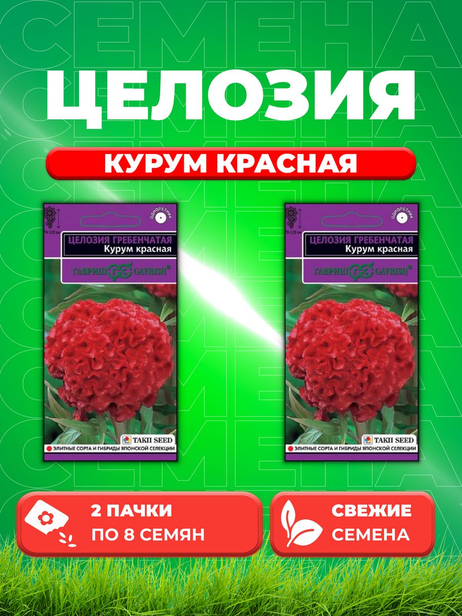 

Семена Целозия гребенчатая Курум красная, 8шт, Takii Seed(2уп)