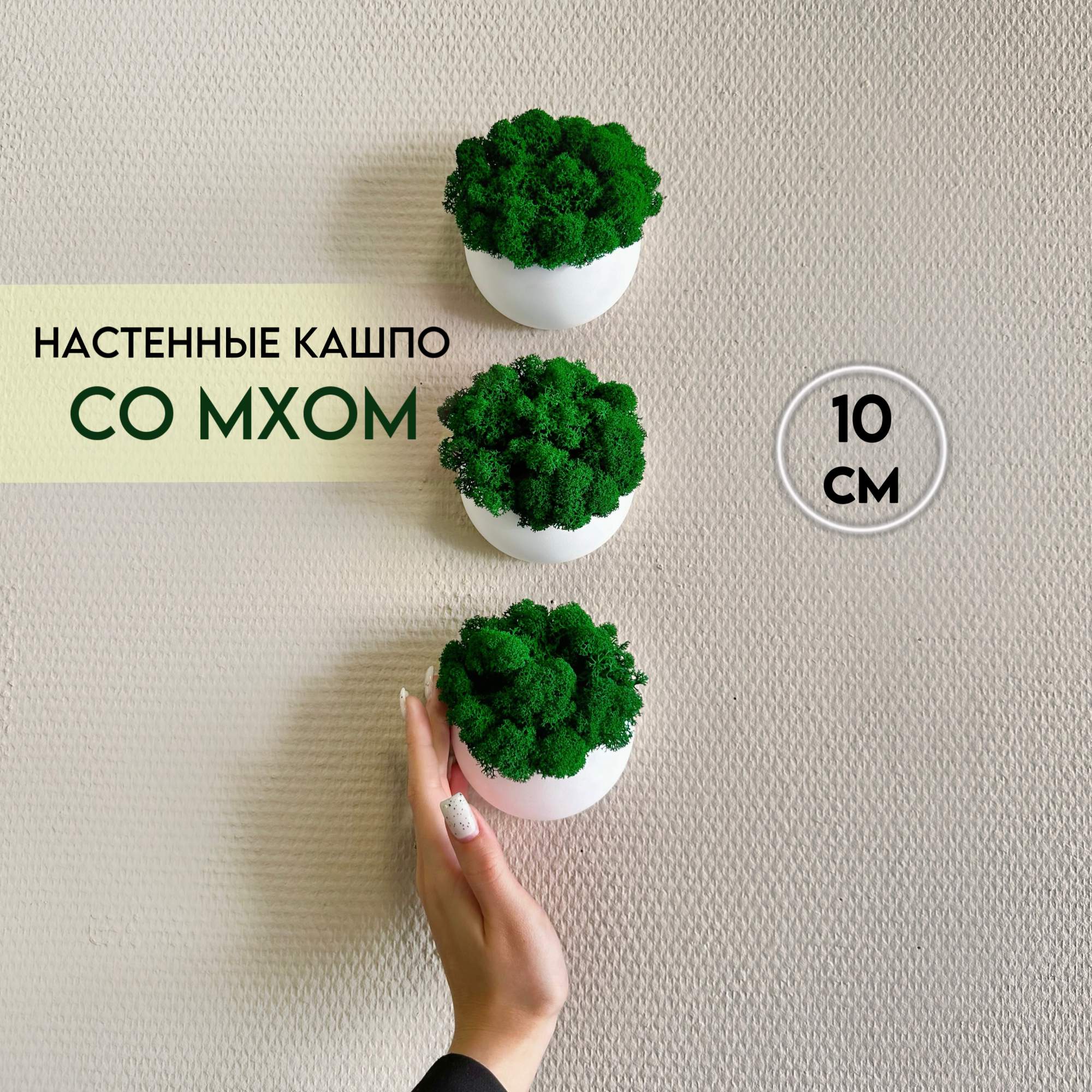 Набор настенных белых кашпо со стабилизированным мхом Molecula Decor 3 шт 10 см