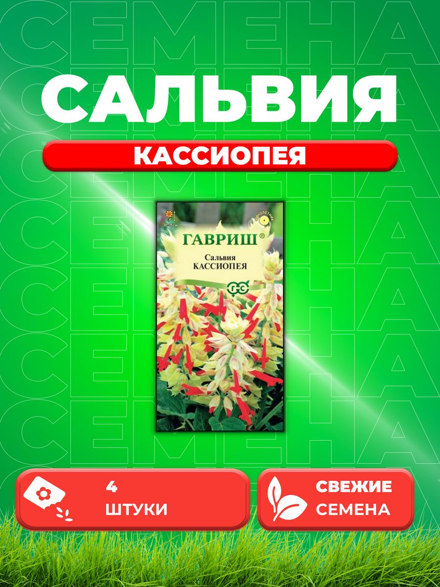

Семена Сальвия Кассиопея, 4шт, Гавриш, Цветочная коллекция