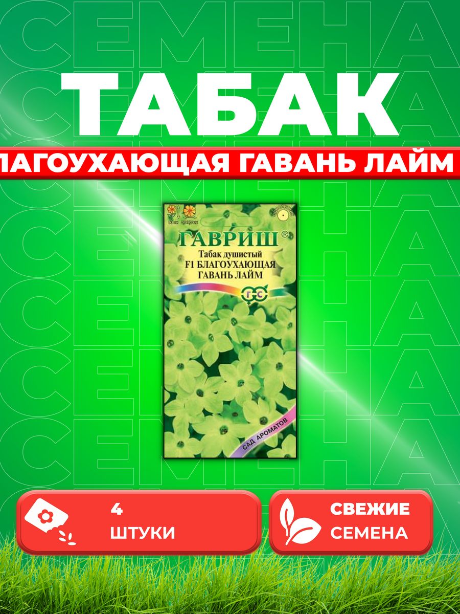 

Семена Табак душистый Благоухающая гавань лайм F1, 4шт