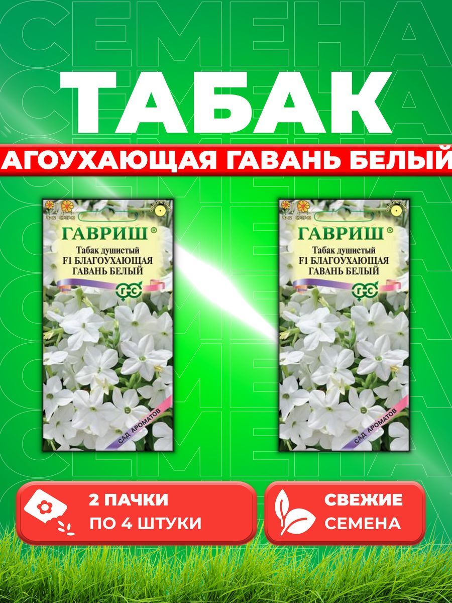 

Семена Табак душистый Благоухающая гавань белый F1, 4шт(2уп)