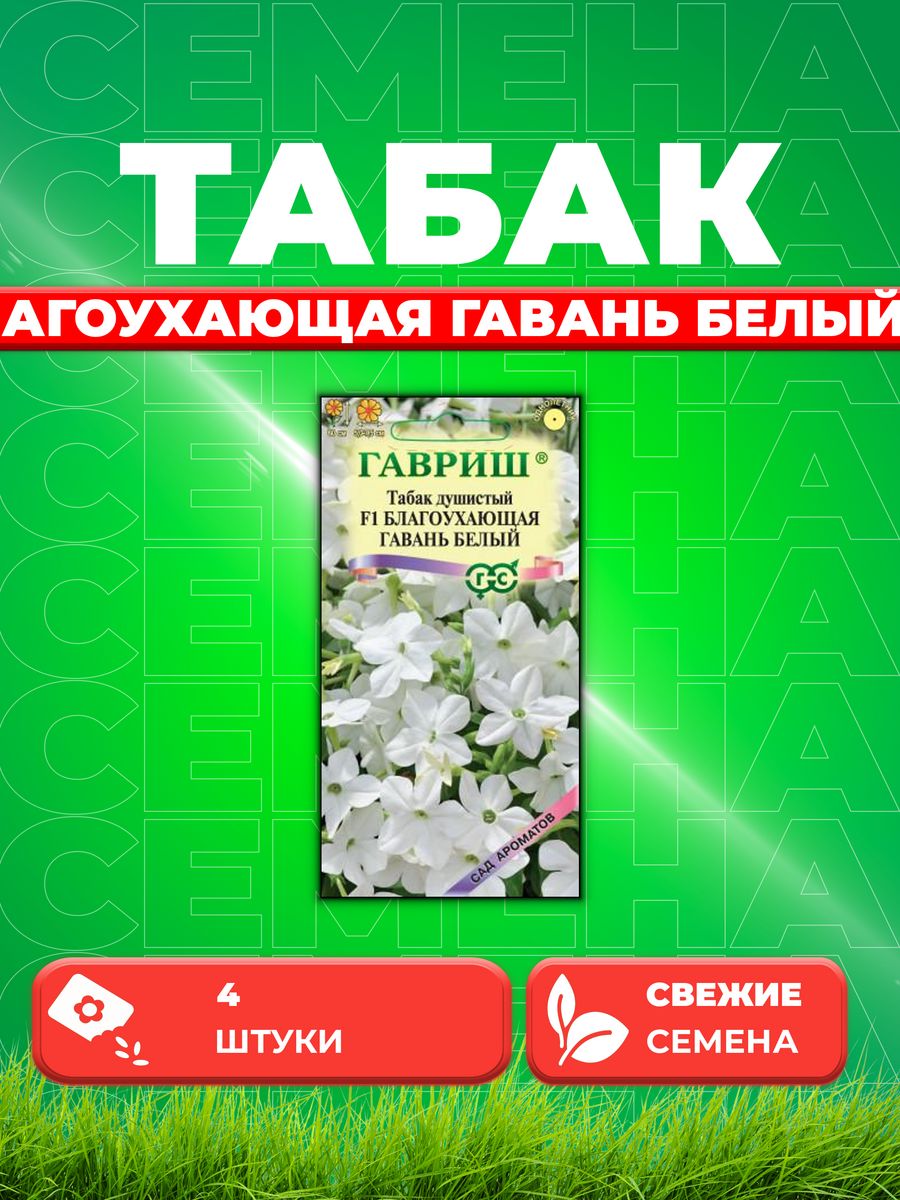 

Семена Табак душистый Благоухающая гавань белый F1, 4шт