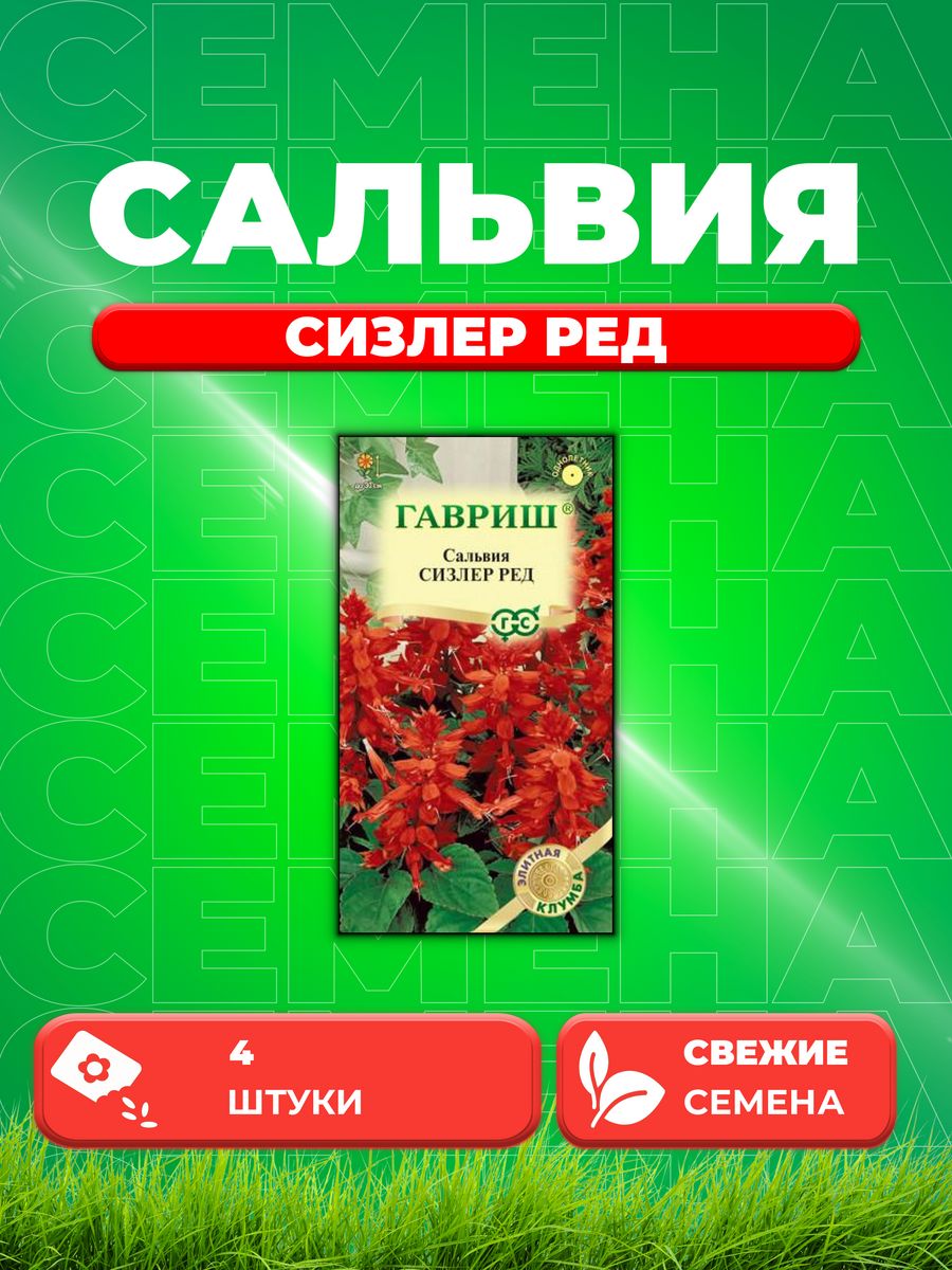 

Семена Сальвия Сизлер Ред, 4шт, Гавриш, Элитная клумба