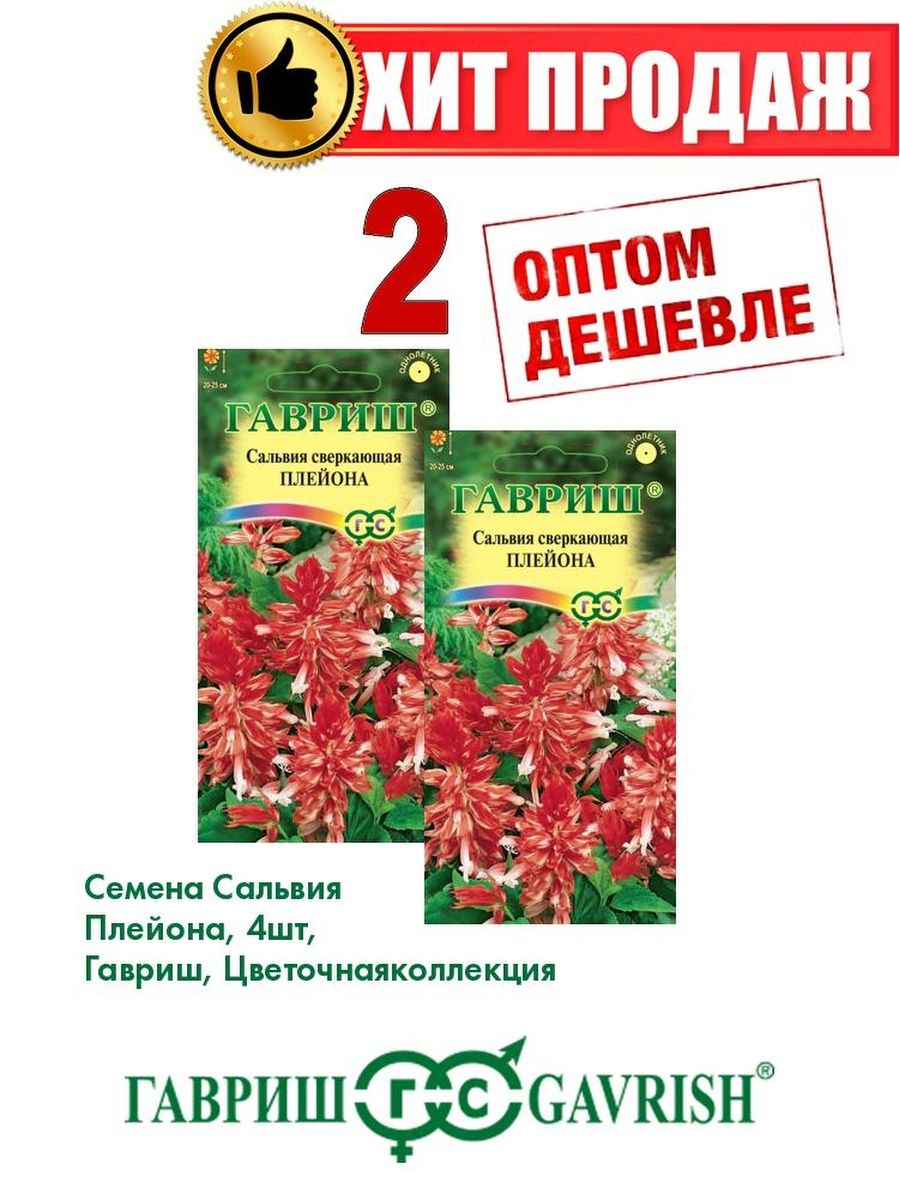 

Семена Сальвия Плейона, 4шт, Гавриш, Цветочная коллекция(2уп)
