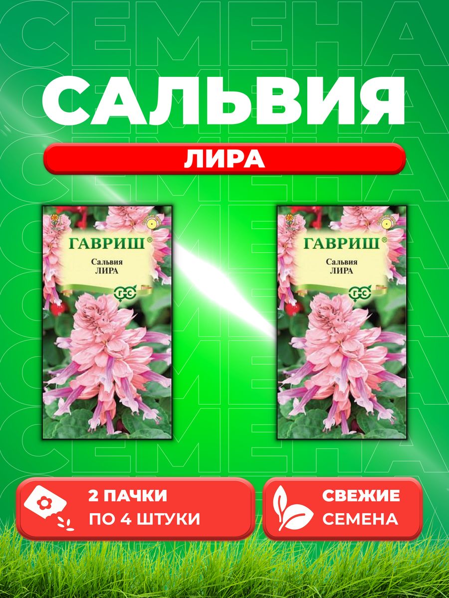 

Семена Сальвия Лира, 4шт, Гавриш, Цветочная коллекция(2уп)