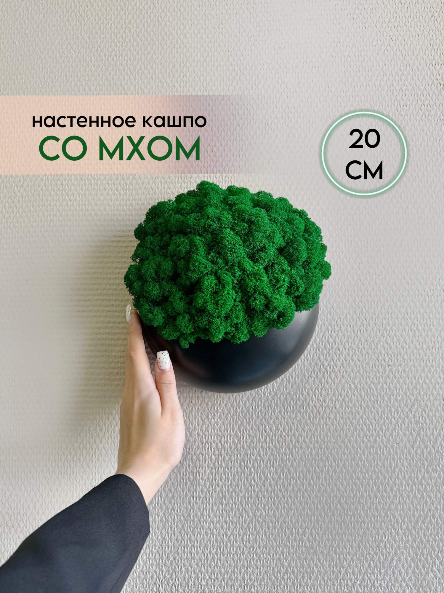 Настенное черное кашпо со стабилизированным мхом Molecula Decor 1 шт 20 см