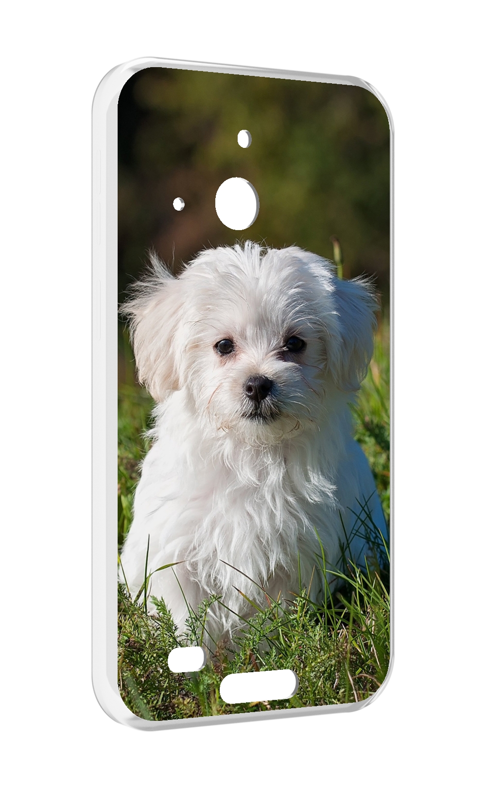

Чехол MyPads мальтииская-болонка для Oukitel WP20 / WP20 Pro, Прозрачный, Tocco