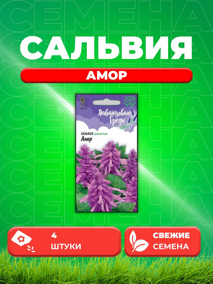 

Семена Сальвия сверкающая Амор 4шт, Гавриш, Лавандовые грезы