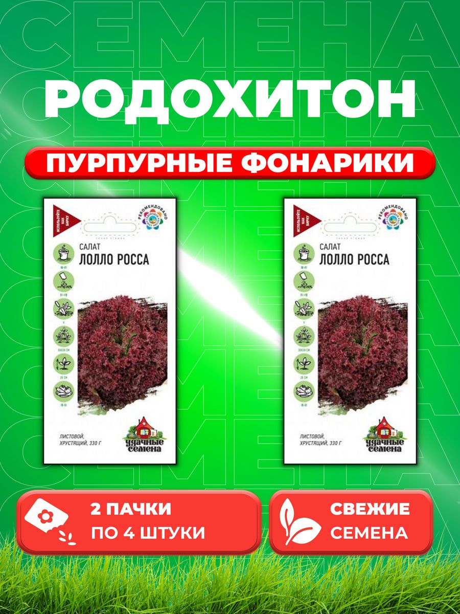 

Семена Родохитон Пурпурные фонарики, 4шт, Гавриш, Black(2уп)