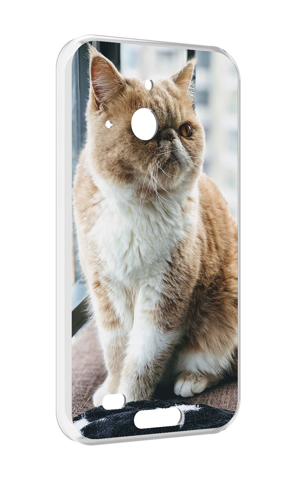 Чехол MyPads кошка экзот для Oukitel WP20 / WP20 Pro
