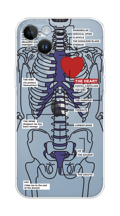 

Чехол на Apple iPhone 14 Plus "Скелет человека", Прозрачный;синий;красный, 15350-1