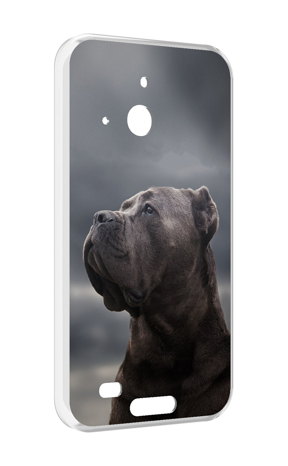 

Чехол MyPads кане корсо для Oukitel WP20 / WP20 Pro, Прозрачный, Tocco