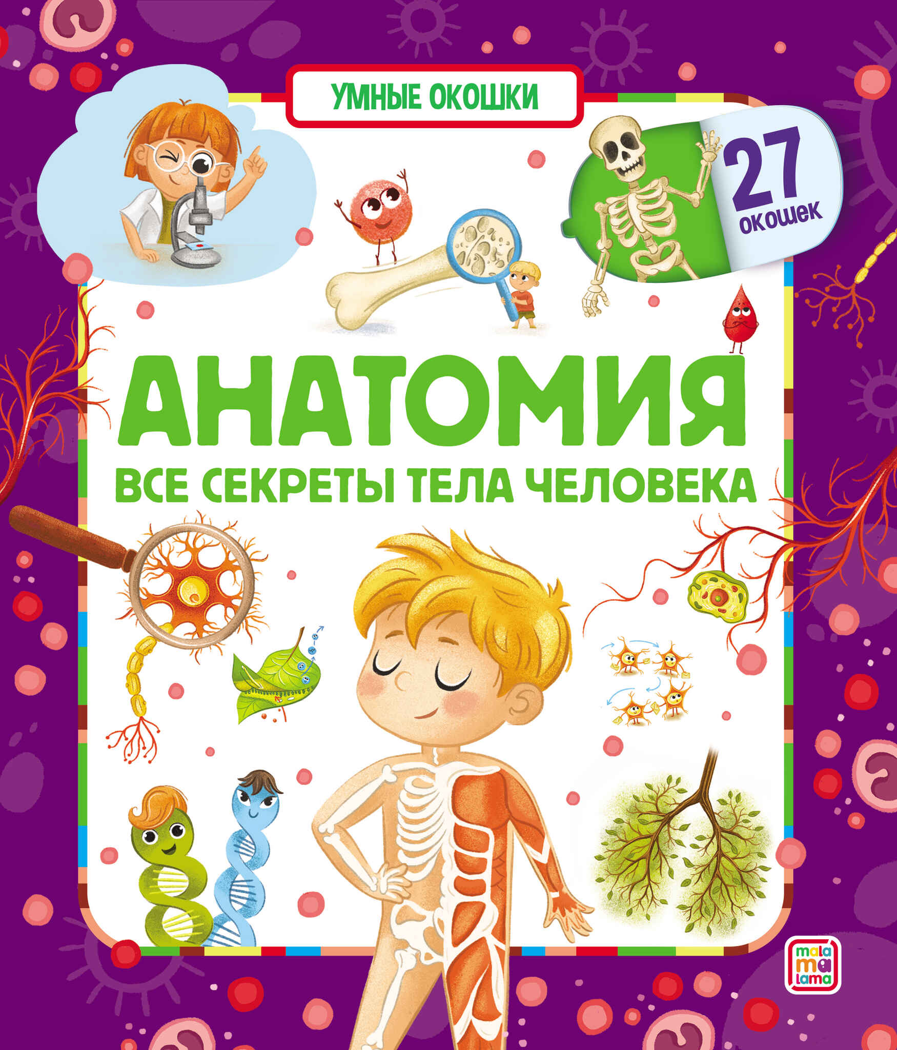 

Умные окошки Анатомия, 9785001346937