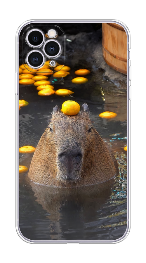 

Чехол на Apple iPhone 11 Pro "Капибара отдыхает", Коричневый;оранжевый;серый, 12350-1