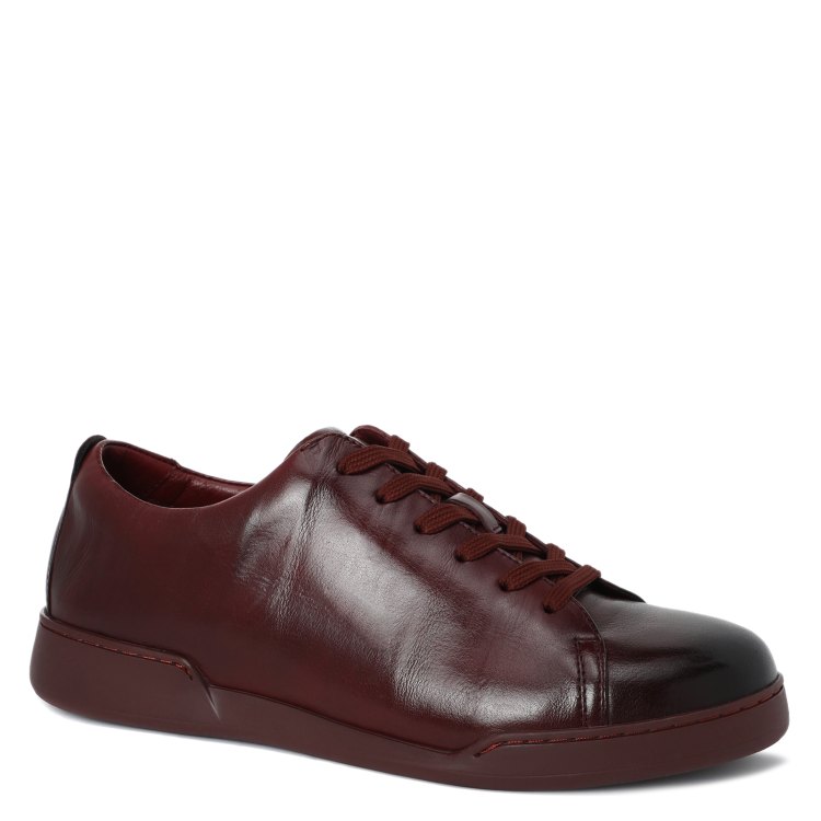 

Кеды мужские Tendance SNY198A-09 коричневые 45 EU, SNY198A-09