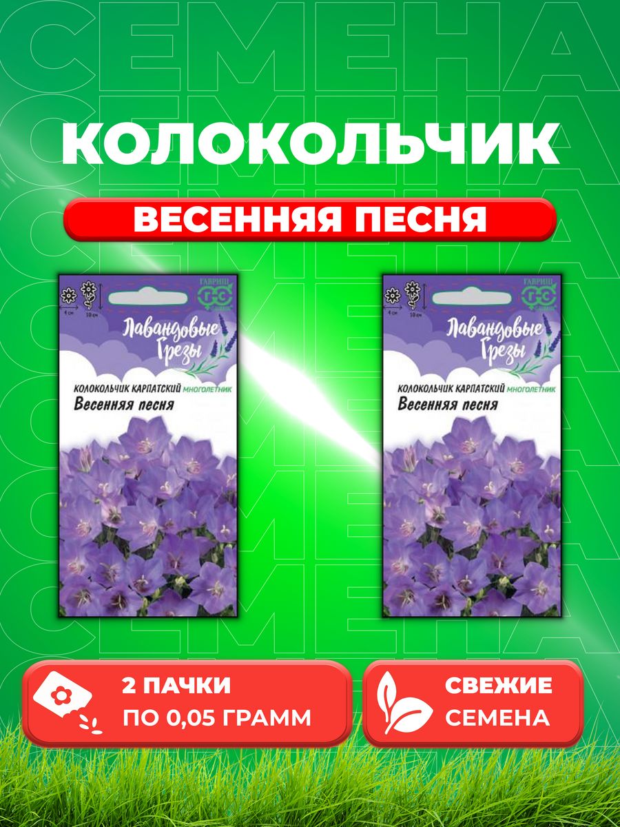 

Семена Колокольчик карпатский Весенняя песня, 0,05г, Гавриш(2уп)