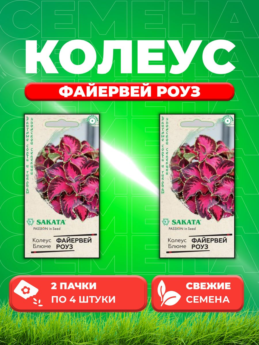 

Семена Колеус Файервей Роуз, 4шт,Sakata(2уп)
