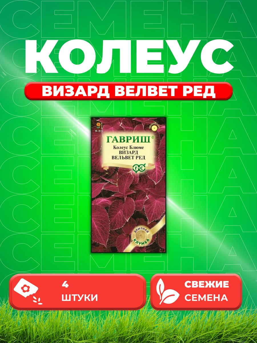 

Семена Колеус Визард Вельвет Ред, 4шт, Гавриш,