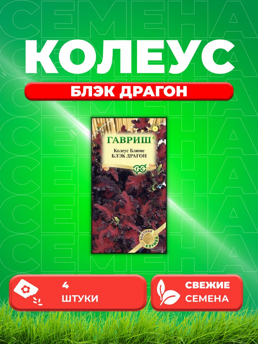 Семена Колеус Блэк Драгон, 4шт, Гавриш, Элитная клумба